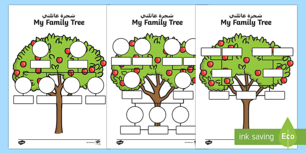  Family Tree Workbook, Family Tree Organizer Book 16