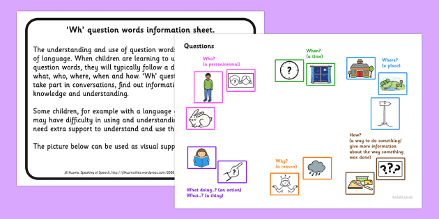 wh question word information sheet teacher made