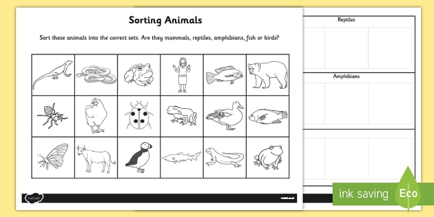 Sorting Animals into Sets Worksheet - worksheet, sorting