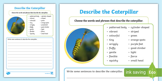 describe-the-caterpillar-writing-activity-teacher-made