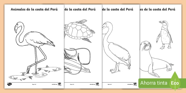 Un montón de animales costeros esperando a ser coloreados. ¡Libera al artista que llevas dentro!