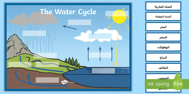 ثلاث تتم هي دورة في الماء فيزيائية بتتابع عمليات الطبيعة ما هي