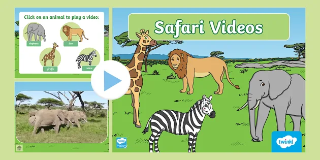 Safari Video PowerPoint (teacher made) - Twinkl