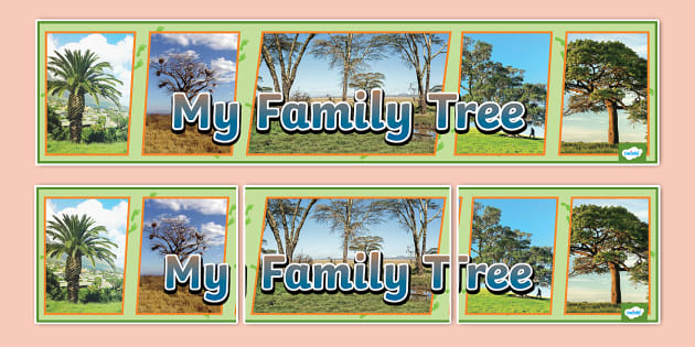 My Family Tree Display Banner (teacher made) - Twinkl