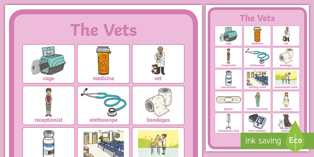 The Vets Aistear Vocabulary Poster - Twinkl