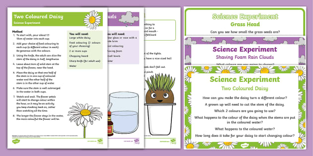 EYFS Spring Themed Science Experiments Resource Pack