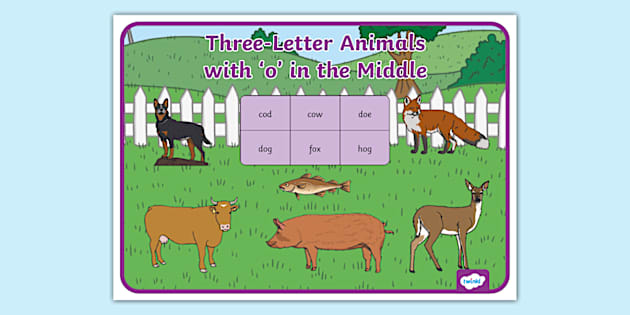 Three Letter Animals with 'O' in the Middle Display Poster