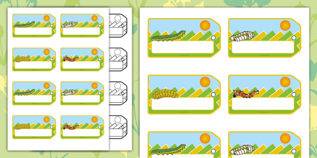 Caterpillar Name Labels (teacher made) - Twinkl