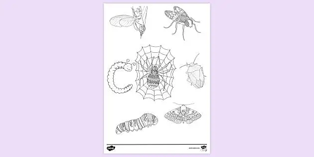 pill bug coloring pages