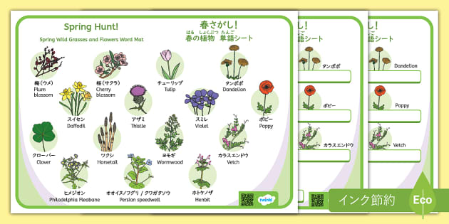 日本の春に自生する植物15種類を紹介している単語シート日本語