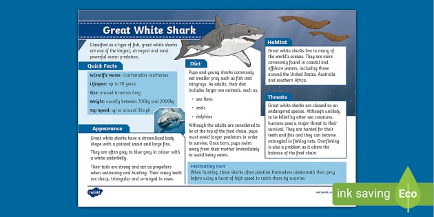 Great White Shark Fact File - Living Things - KS2 - Twinkl