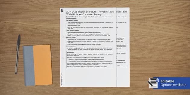 With Birds Youre Never Lonely Revision Tasks Teacher Made