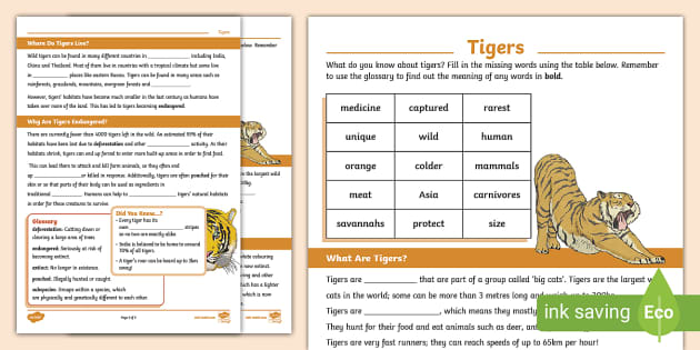 3D Model: Mammals - Tiger (teacher made) - Twinkl