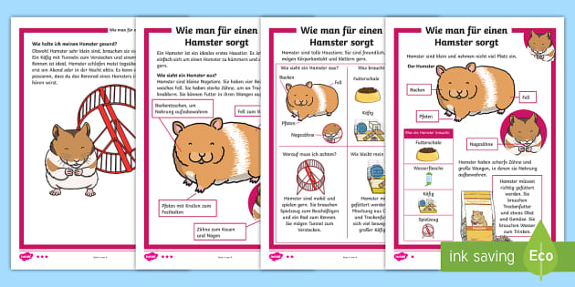 Wie Man Fur Einen Hamster Sorgt Informationstext