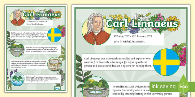 Carl Linnaeus Display Poster, (teacher made) - Twinkl