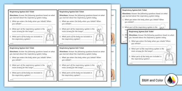 Rating Scale Activity (Teacher-Made) - Twinkl