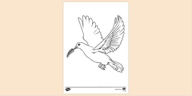 Free Dove And Olive Branch Colouring Sheet Colouring Sheets