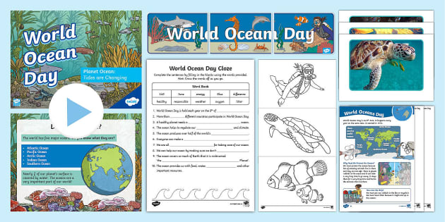 World Oceans Day Resource and Activity Pack | Twinkl