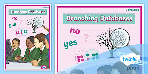Computing: Branching Databases: Year 3 Unit Book Cover