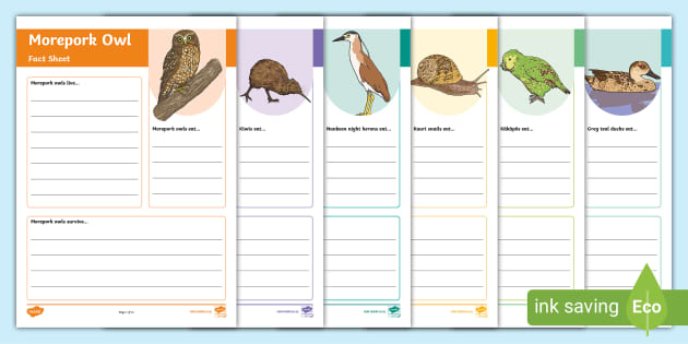 new zealand animals fact file worksheet worksheets worksheet