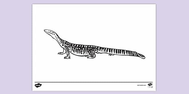 Sand Goanna for Drawing Page Colouring Sheet