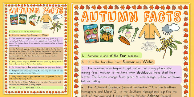 Fall Facts For Kindergarten