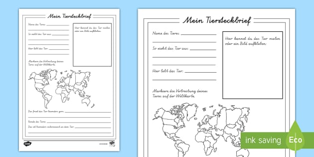 Mein Tiersteckbrief Arbeitsblatt Teacher Made