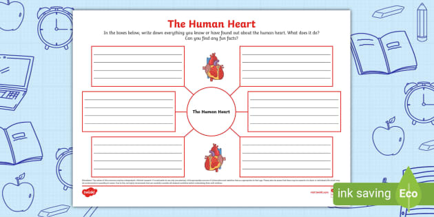 The Human Heart Mind Map (teacher made) - Twinkl
