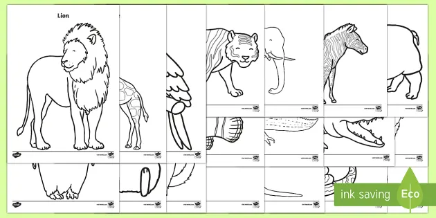 Zoo Animals Colouring Pages Primary Education Resources