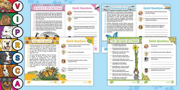 UKS2 60 Second Reads Life Cycles Activity Pack Twinkl