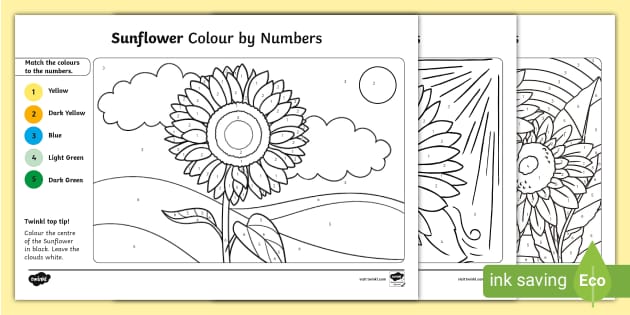 FREE! - Sunflowers Colour by Number Pages - Twinkl