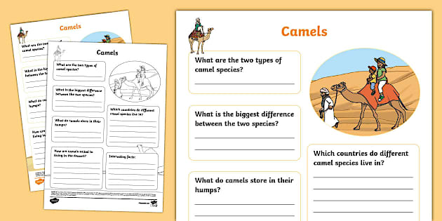 Camel Fact File Template Teacher Made Twinkl 1834