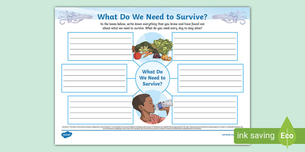 What Do We Need to Survive? Mind Map (teacher made) - Twinkl