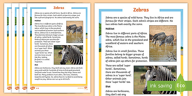 Zebra Facts For Kids Printable