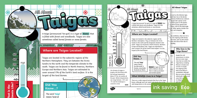 Taiga Ecosystem Facts & Worksheets