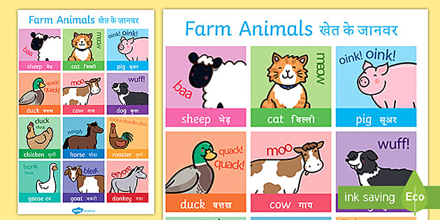 Farm Animals (English Hindi) (teacher made) - Twinkl
