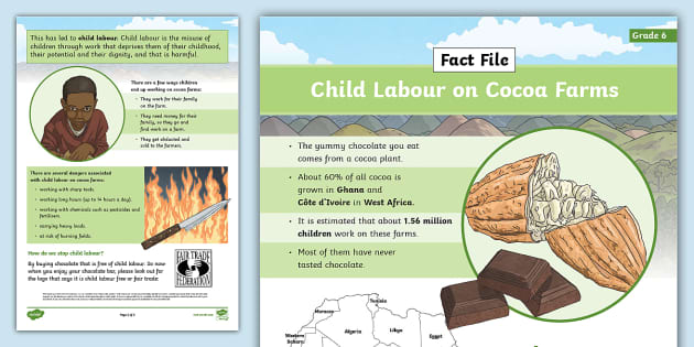 Child Labour on Cocoa Farms (Teacher-Made) - Twinkl