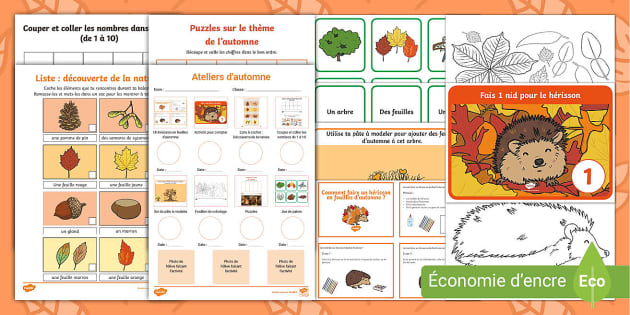 15 Id es D activit s Pour L automne Avec Les Enfants