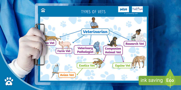 what do vets research