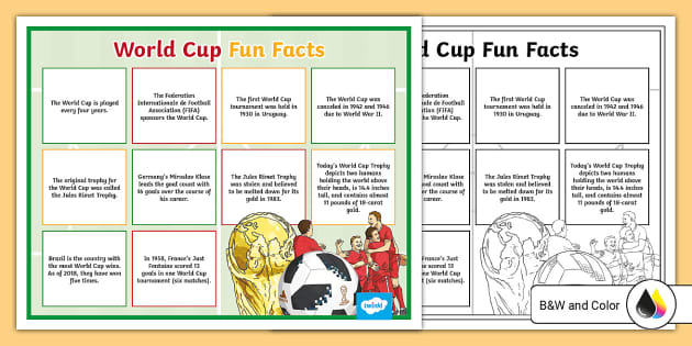 World Cup Fun Facts Poster (teacher made) - Twinkl