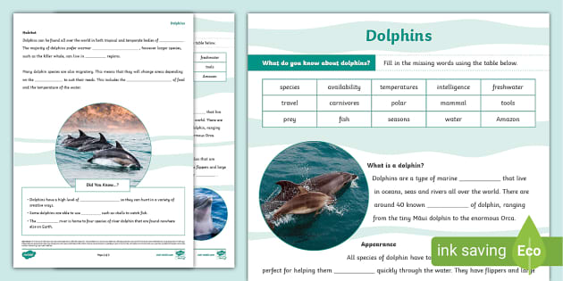 Dolphins Cloze Worksheet (teacher made) - Twinkl