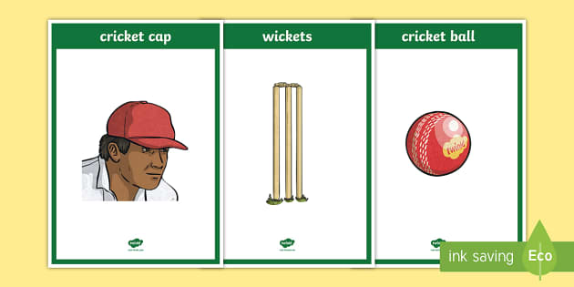 Cricket Display Posters - Primary Resources (teacher made)