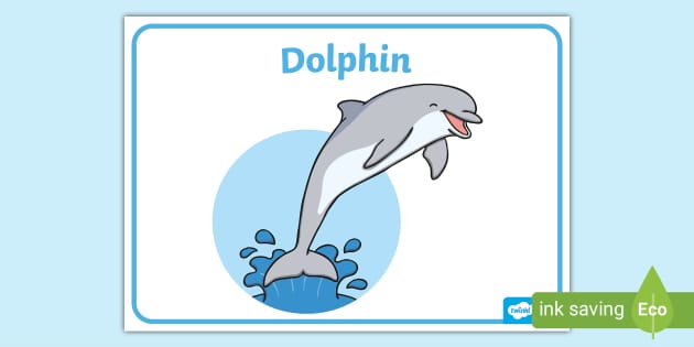 Free Diving Dolphin Display Poster Primary Education Resources