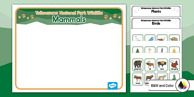 Yellowstone National Park Wildlife Sorting Activity Mats