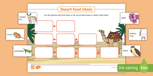 Desert Food Chain Activity (teacher made) - Twinkl