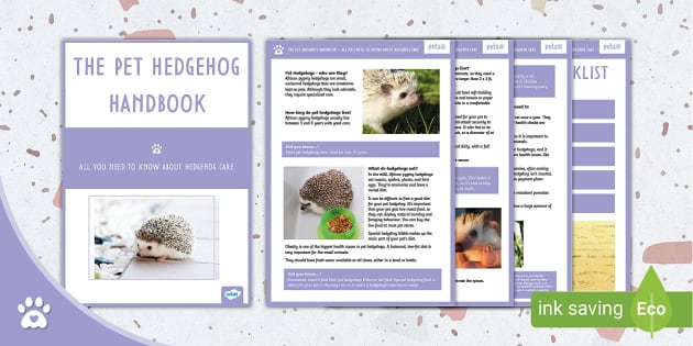 The Ultimate Pet Hedgehog Handbook - Pet Care Guide - Pets
