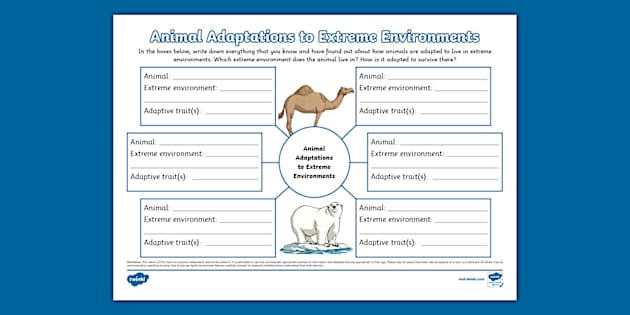 Animal Adaptations to Extreme Environments Mind Map - Twinkl