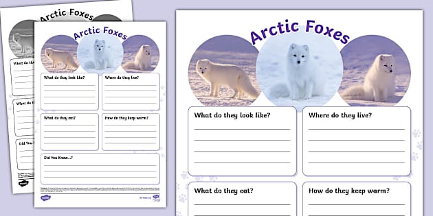 Arctic Fox Fact File Template (teacher made) - Twinkl