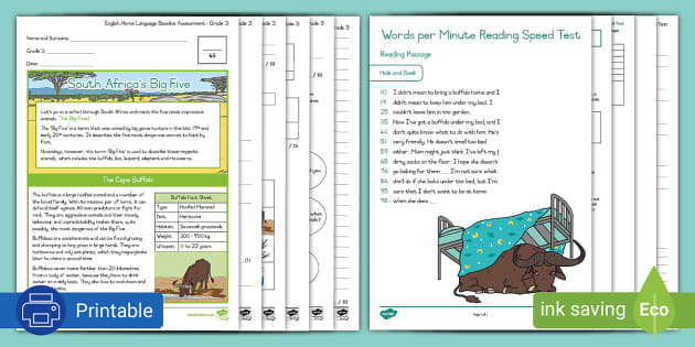 grade-3-baseline-assessment-pdf-teacher-made-twinkl