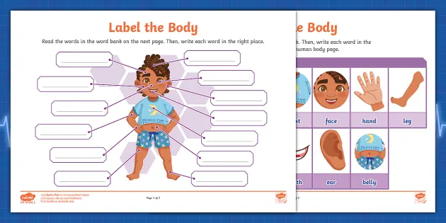 Label the Human Body Activity Sheet (Teacher-Made) - Twinkl